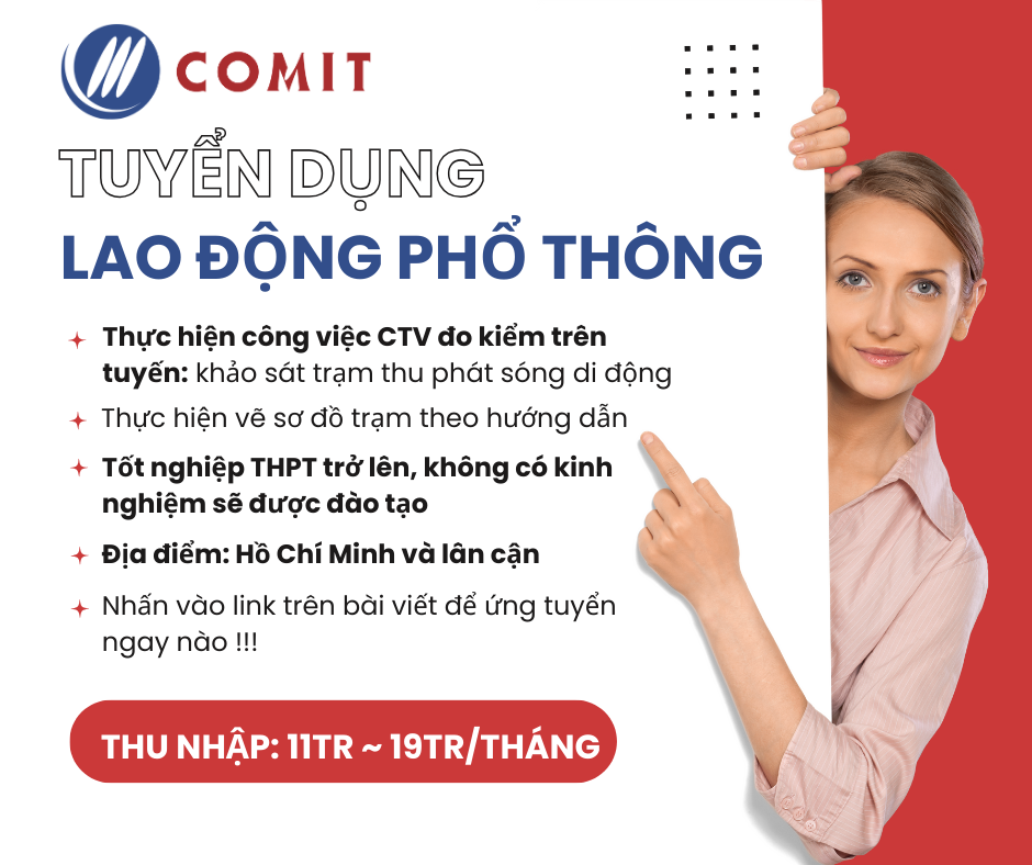lĩnh vực hoạt động
